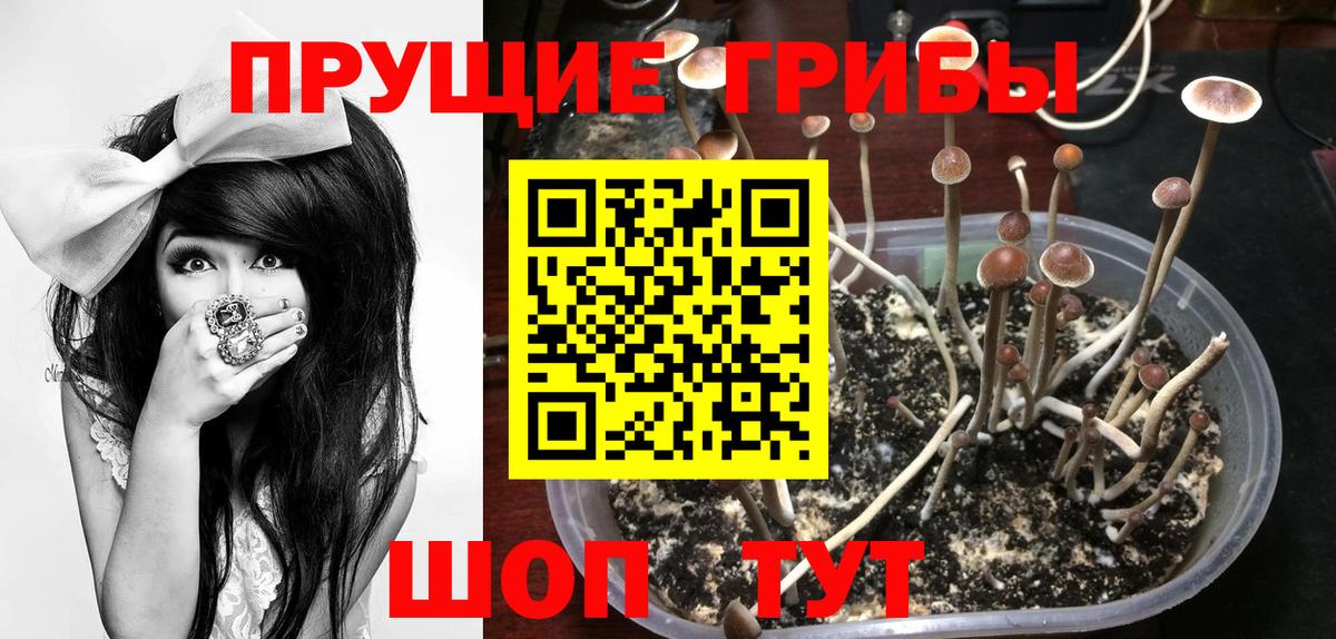Галлюциногенные грибы мухоморы  Псилоцибиновые грибы мухоморы  Вход с VPN  Стрежевой 