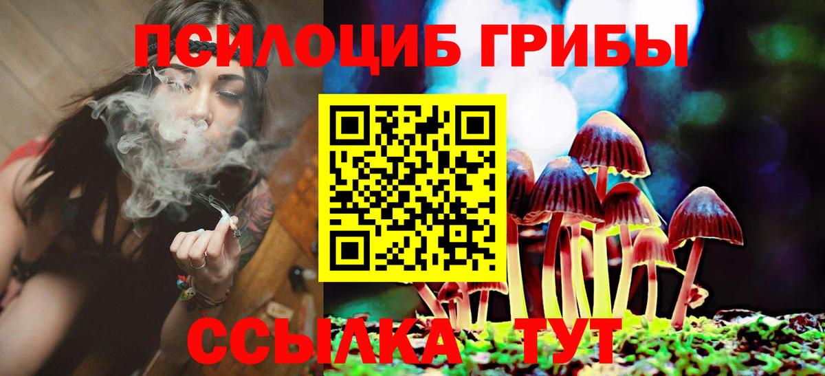 Галлюциногенные грибы прущие грибы Стрежевой
